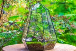 Large 16" Tall And Wide 6 Sided Cone Tin And Glass Terrarium, Close, With Door -Ncyp Garden Sale Shop IMG 1356 2