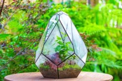 16" Large Teardrop Geometric Terrarium, Close 23 16" Large Teardrop Geometric Terrarium, Close -Ncyp Garden Sale Shop IMG 1369