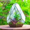 16" Large Teardrop Geometric Terrarium, Close