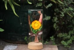 Dried Flowers Terrarium Gift Set Dried Strawflower Bouquet In Glass Tube -Ncyp Garden Sale Shop IMG 1381