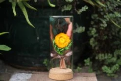 Dried Flowers Terrarium Gift Set Dried Strawflower Bouquet In Glass Tube -Ncyp Garden Sale Shop IMG 1382