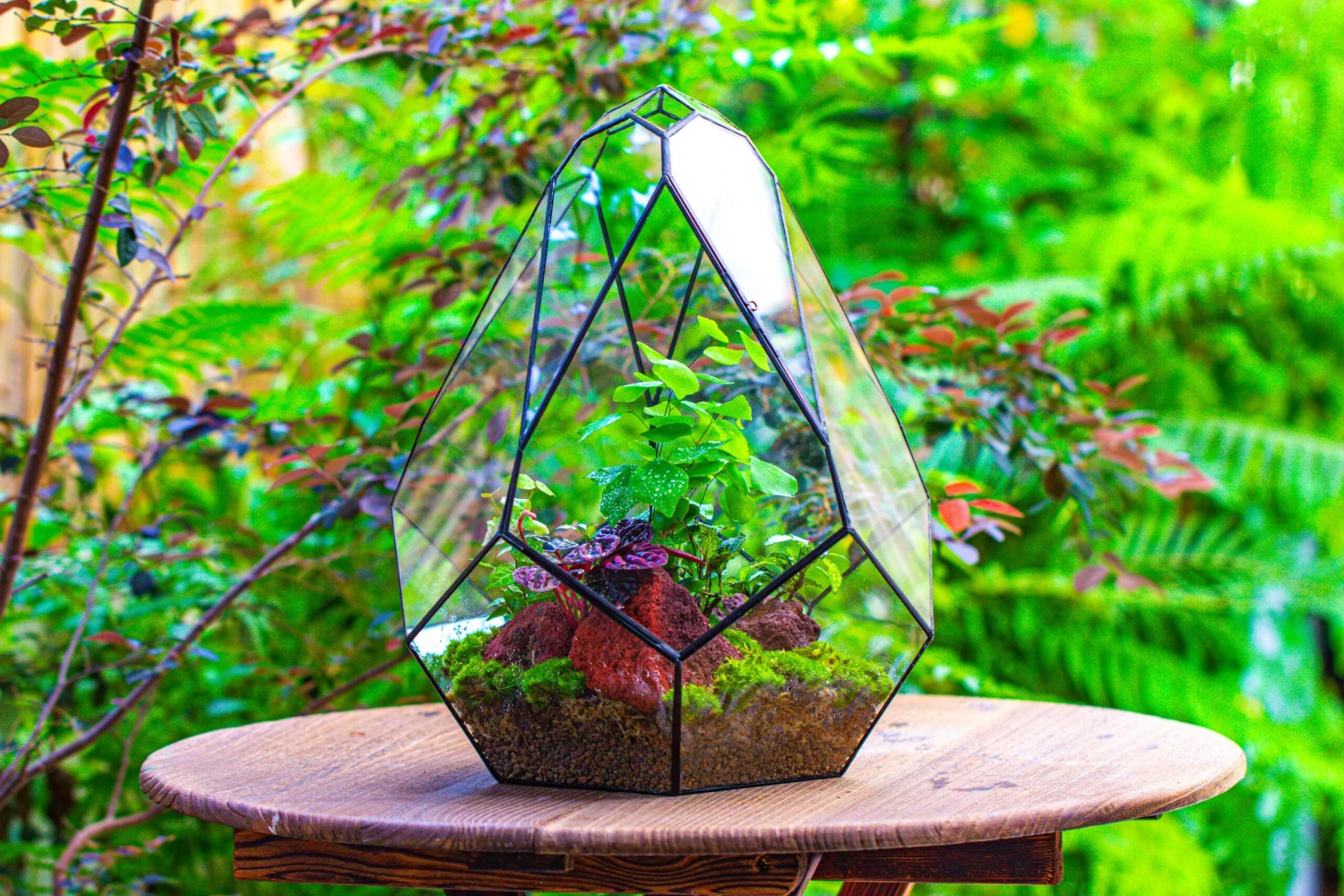 16" Large Teardrop Geometric Terrarium, Close 6 16" Large Teardrop Geometric Terrarium, Close - Image 6