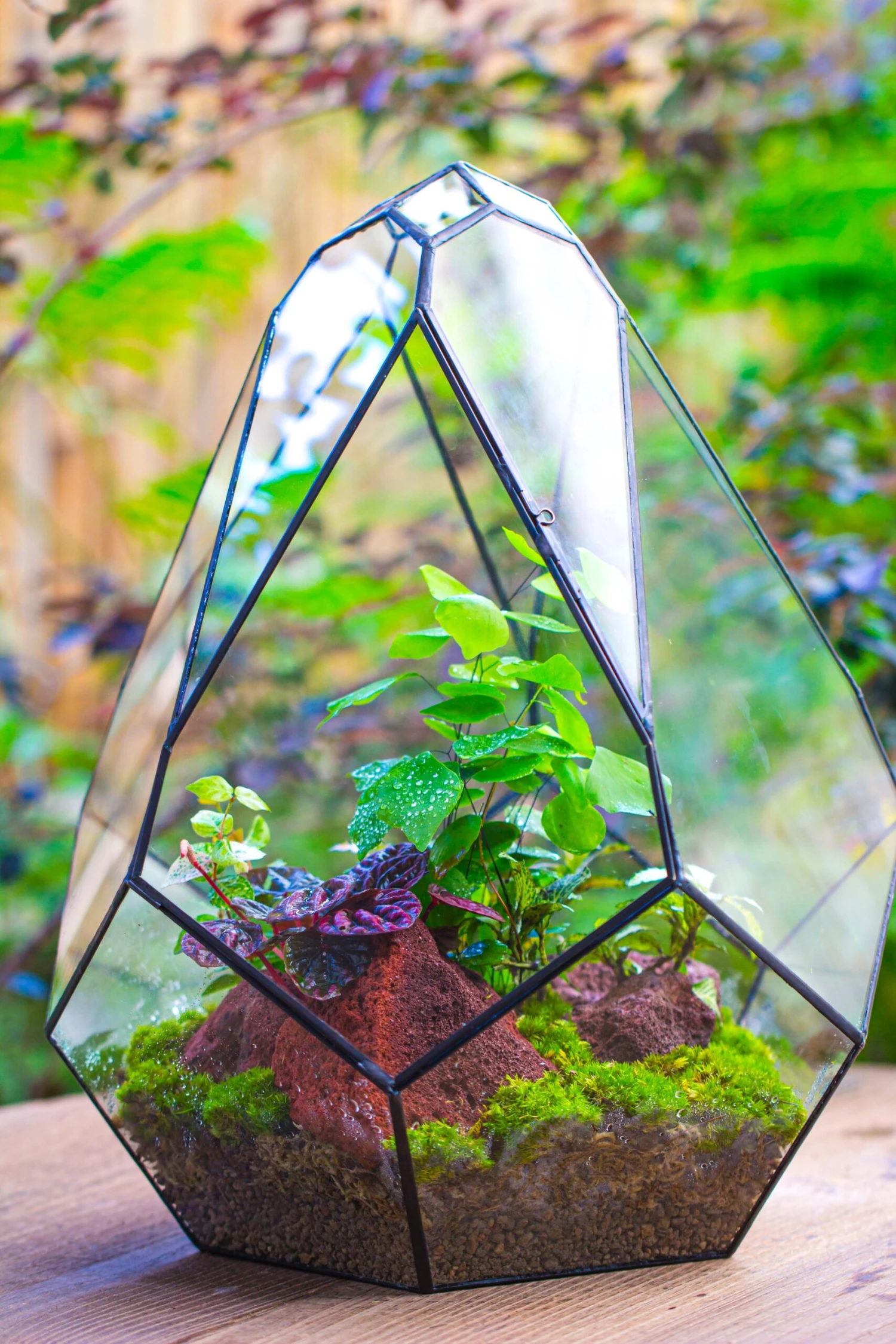 16" Large Teardrop Geometric Terrarium, Close 9 16" Large Teardrop Geometric Terrarium, Close - Image 9