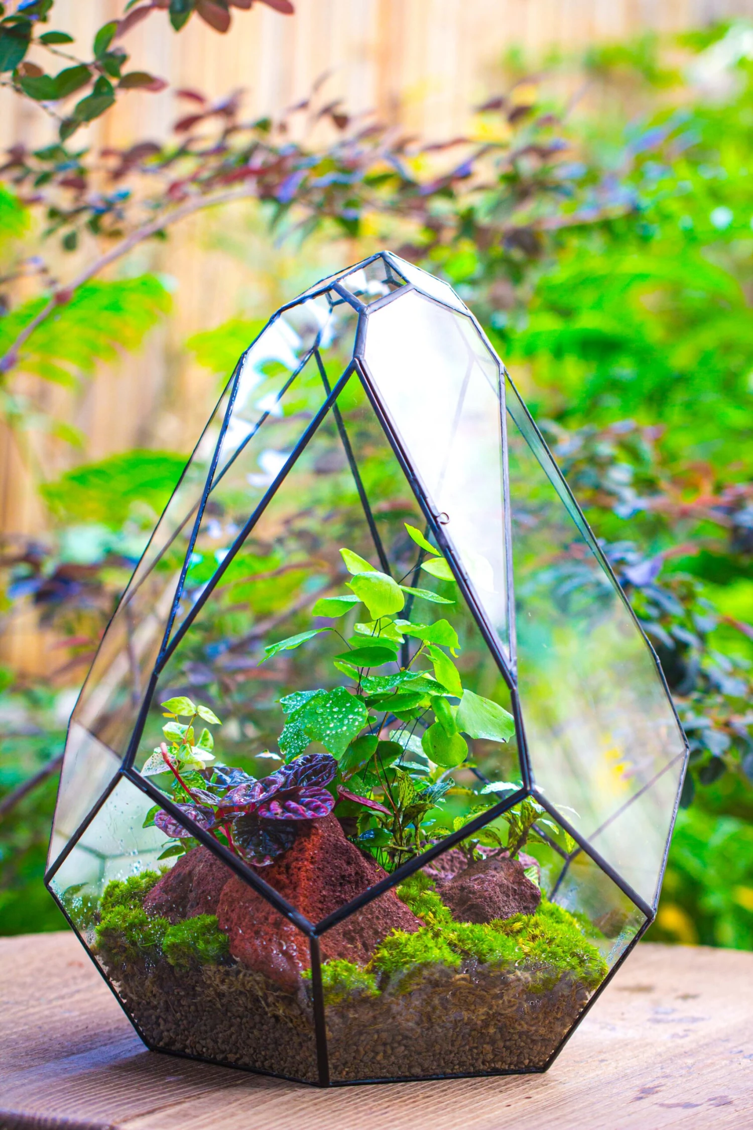 16" Large Teardrop Geometric Terrarium, Close 10 16" Large Teardrop Geometric Terrarium, Close - Image 10
