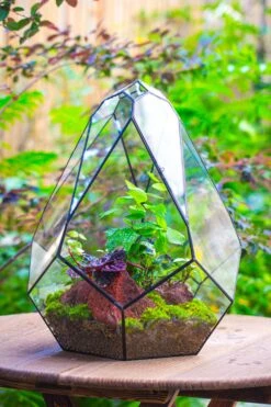 16" Large Teardrop Geometric Terrarium, Close 30 16" Large Teardrop Geometric Terrarium, Close -Ncyp Garden Sale Shop IMG 1388