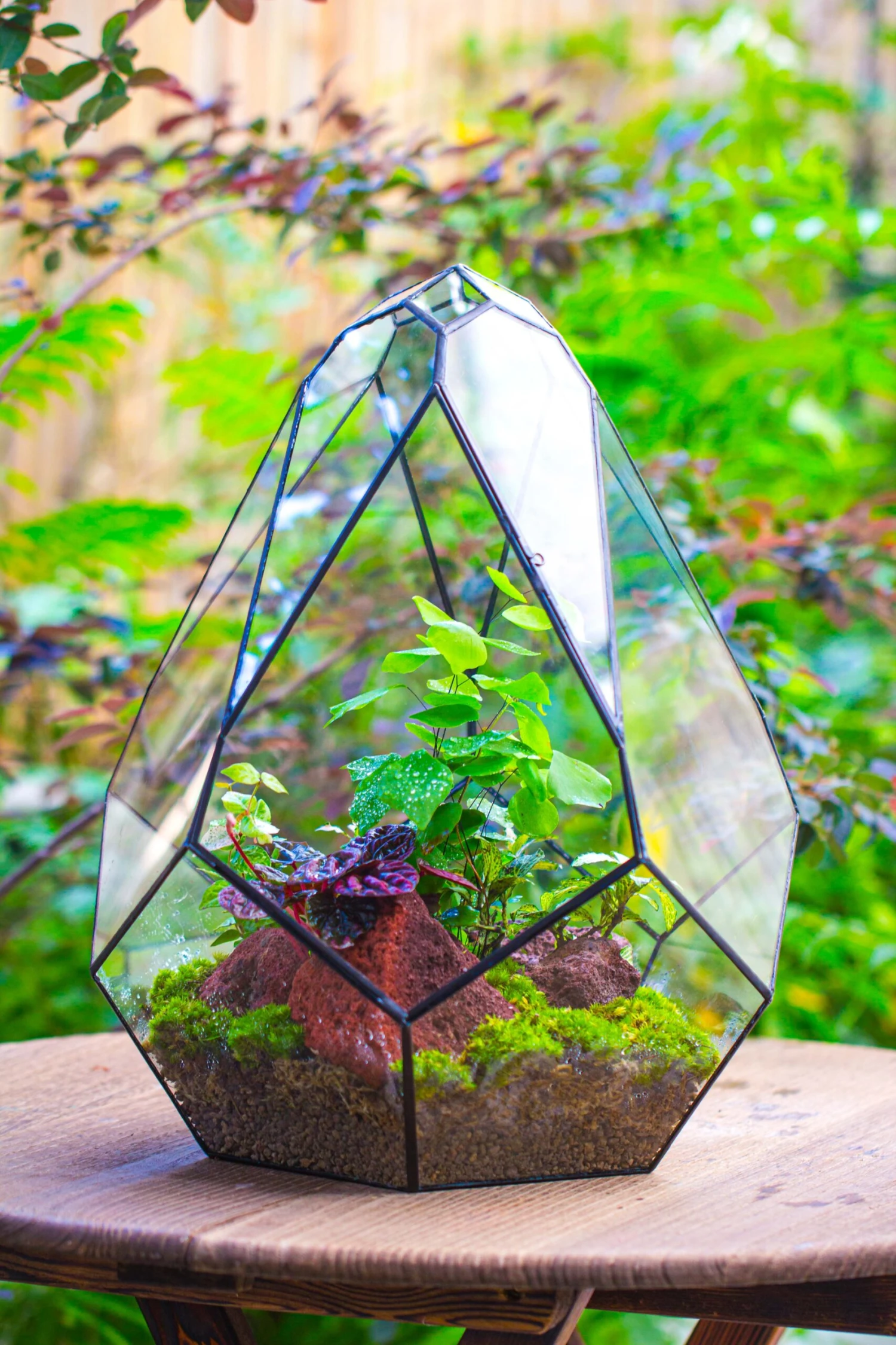 16" Large Teardrop Geometric Terrarium, Close 11 16" Large Teardrop Geometric Terrarium, Close - Image 11