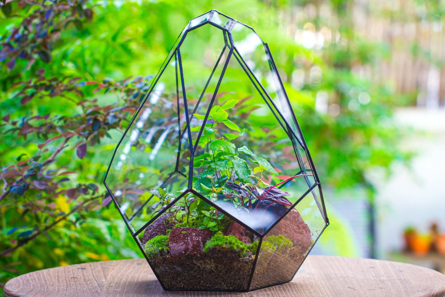 16" Large Teardrop Geometric Terrarium, Close 13 16" Large Teardrop Geometric Terrarium, Close - Image 13
