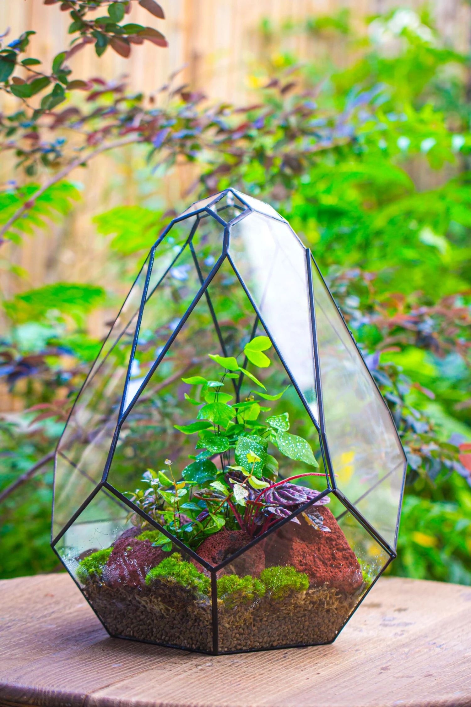 16" Large Teardrop Geometric Terrarium, Close 5 16" Large Teardrop Geometric Terrarium, Close - Image 5