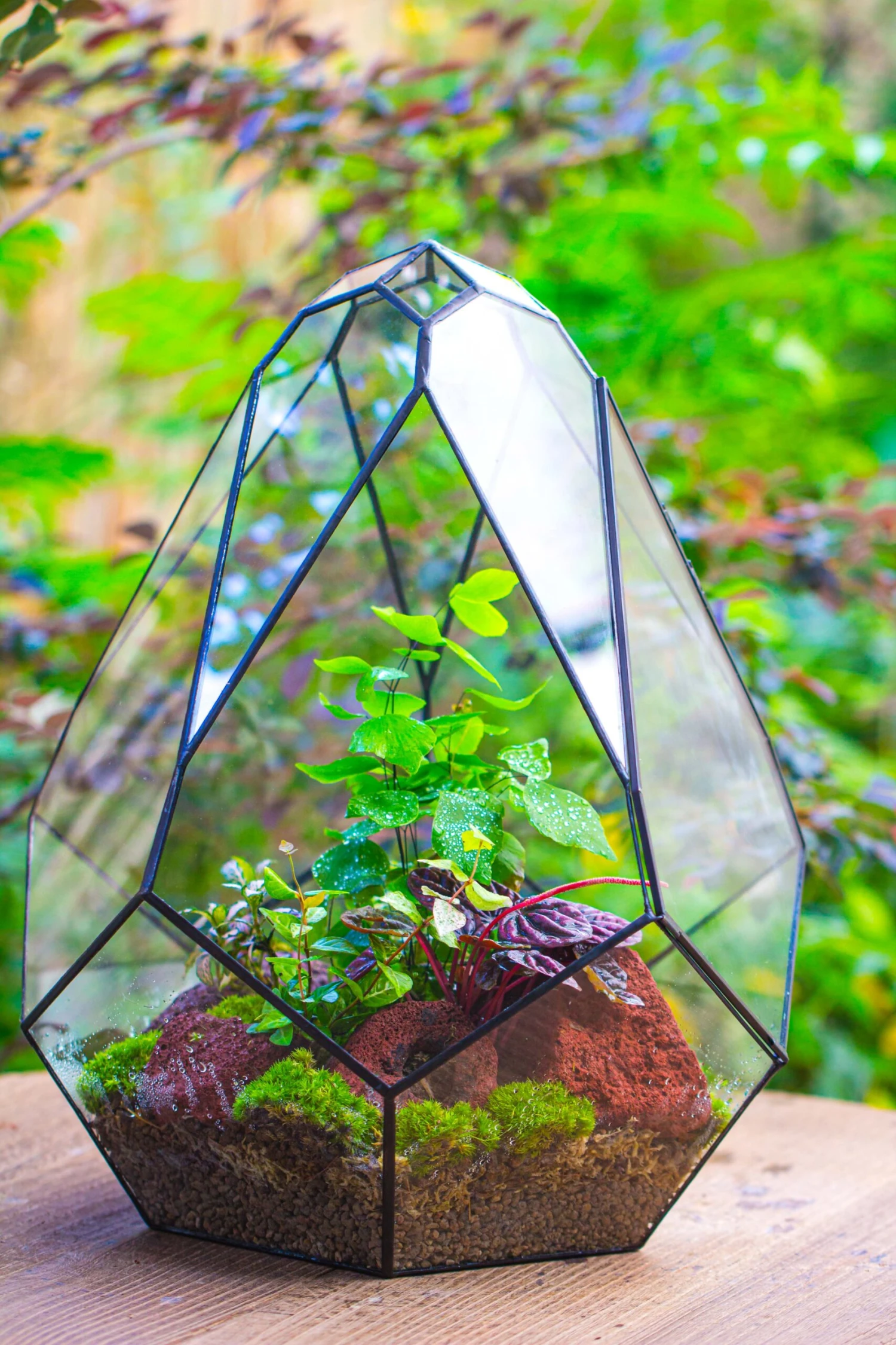 16" Large Teardrop Geometric Terrarium, Close 17 16" Large Teardrop Geometric Terrarium, Close - Image 17