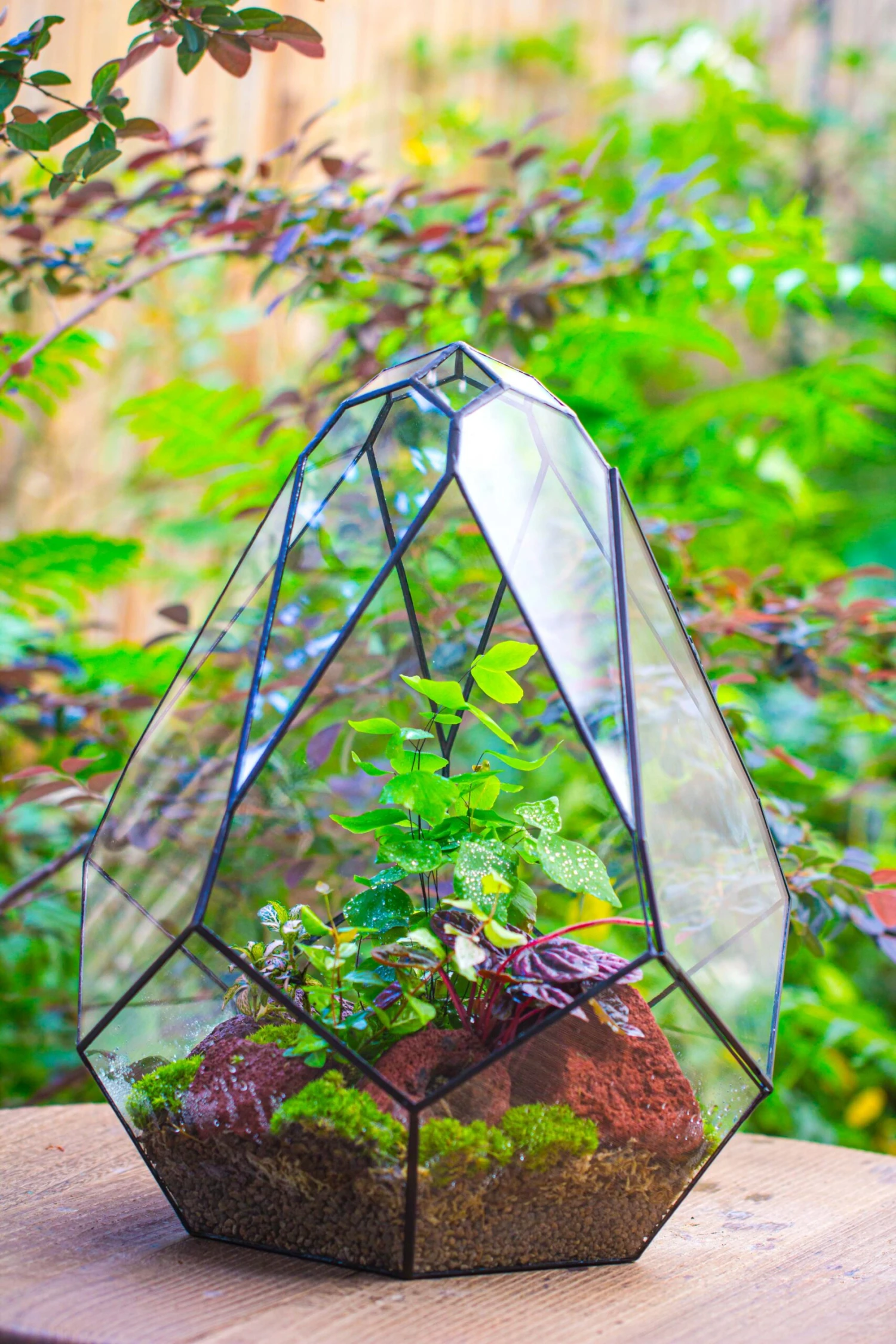 16" Large Teardrop Geometric Terrarium, Close 14 16" Large Teardrop Geometric Terrarium, Close - Image 14