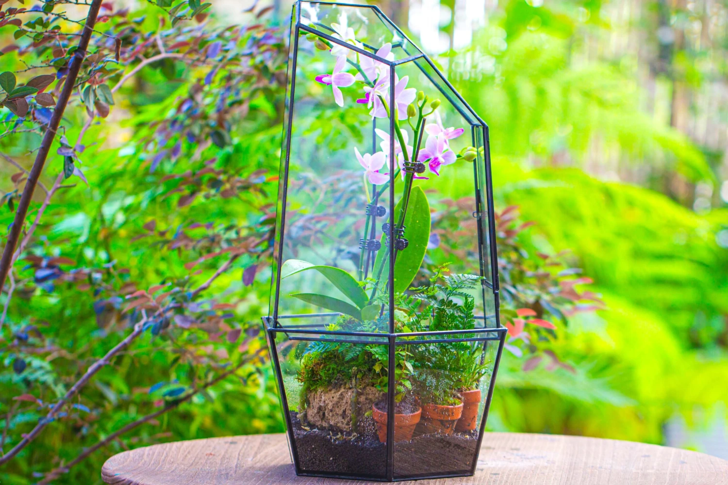 Large 2-Part 18.9" Tall Close Glass Terrarium For Orchid, Fern, Moss, Watertight 16 Large 2-Part 18.9" Tall Close Glass Terrarium For Orchid, Fern, Moss, Watertight - Image 16
