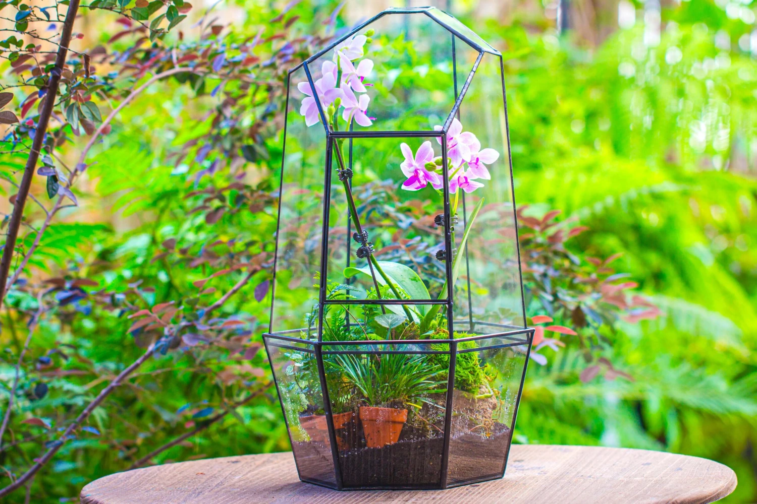 Large 2-Part 18.9" Tall Close Glass Terrarium For Orchid, Fern, Moss, Watertight 17 Large 2-Part 18.9" Tall Close Glass Terrarium For Orchid, Fern, Moss, Watertight - Image 17