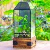Handmade Glass Terrarium With Wood Base, Geometric Jumping Spider Enclosure, With Mesh Vent, For Plants, Snail, Insects