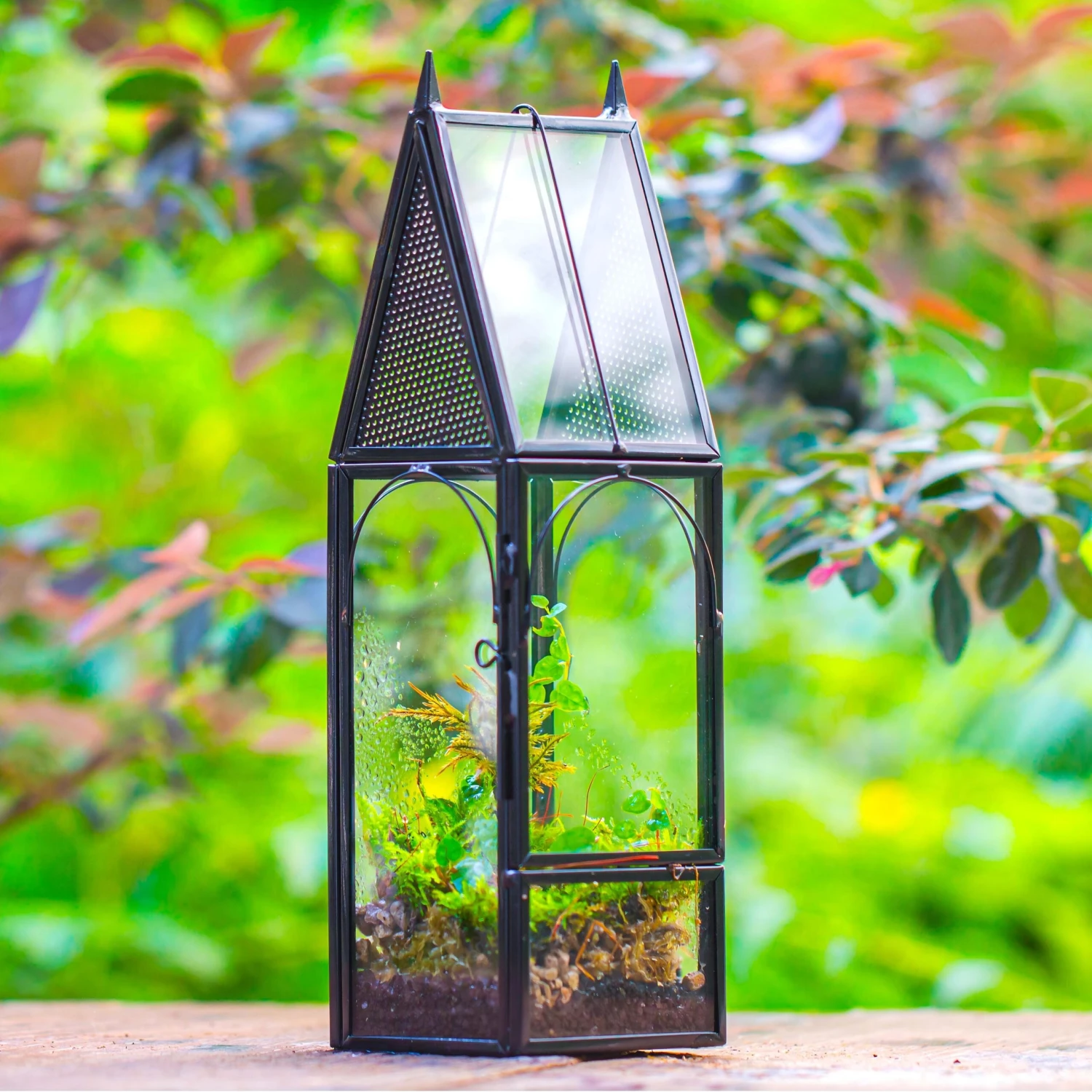 Mini Tall House Shape Jumping Spider Terrarium 7 Mini Tall House Shape Jumping Spider Terrarium - Image 7