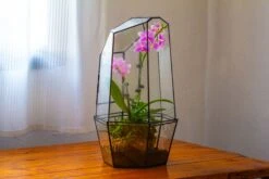 Large 2-Part 18.9" Tall Close Glass Terrarium For Orchid, Fern, Moss, Watertight 24 Large 2-Part 18.9" Tall Close Glass Terrarium For Orchid, Fern, Moss, Watertight -Ncyp Garden Sale Shop IMG 1491