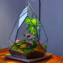 Large 16" Tall And Wide Teardrop Tin And Glass Terrarium, Close, With Door -Ncyp Garden Sale Shop IMG 1559 ce701029 b15d 4848 a2be d687cd4e17d5