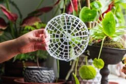 Environment Friendly Detachable Plastic Ball For Easy Moss Ball, Hanging Planters, Wall Mounted Planting Idea, Suitable For Orchid, Staghorn Fern 30 Sets -Ncyp Garden Sale Shop IMG 1625