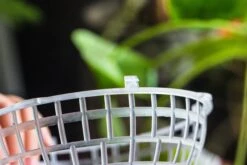 Environment Friendly Detachable Plastic Ball For Easy Moss Ball, Hanging Planters, Wall Mounted Planting Idea, Suitable For Orchid, Staghorn Fern 30 Sets -Ncyp Garden Sale Shop IMG 1628