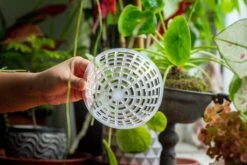 Environment Friendly Detachable Plastic Ball For Easy Moss Ball, Hanging Planters, Wall Mounted Planting Idea, Suitable For Orchid, Staghorn Fern 30 Sets -Ncyp Garden Sale Shop IMG 1631