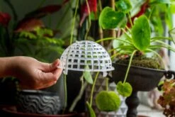 Environment Friendly Detachable Plastic Ball For Easy Moss Ball, Hanging Planters, Wall Mounted Planting Idea, Suitable For Orchid, Staghorn Fern 30 Sets -Ncyp Garden Sale Shop IMG 1632