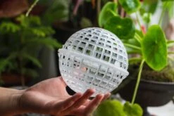 Environment Friendly Detachable Plastic Ball For Easy Moss Ball, Hanging Planters, Wall Mounted Planting Idea, Suitable For Orchid, Staghorn Fern 30 Sets -Ncyp Garden Sale Shop IMG 1634