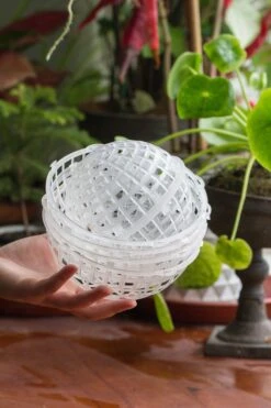 Environment Friendly Detachable Plastic Ball For Easy Moss Ball, Hanging Planters, Wall Mounted Planting Idea, Suitable For Orchid, Staghorn Fern 30 Sets -Ncyp Garden Sale Shop IMG 1636