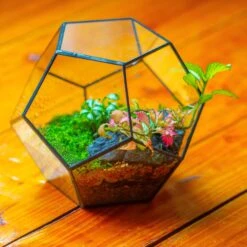 Handmade Silver Black Various Size Pentagon Glass Geometric Terrarium For Succulents Airplants Cacti