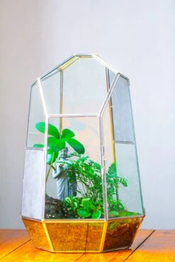 16.1" Large Irregular Geometric Glass Terrarium, Close, Vented Silver, For Tropical Plants, And Large Insects -Ncyp Garden Sale Shop IMG 1852 f5bf1f64 731f 4b30 a004 893454c280ac