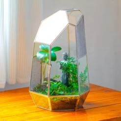 16.1" Large Irregular Geometric Glass Terrarium, Close, Vented Silver, For Tropical Plants, And Large Insects