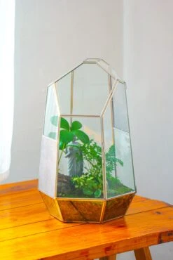 16.1" Large Irregular Geometric Glass Terrarium, Close, Vented Silver, For Tropical Plants, And Large Insects -Ncyp Garden Sale Shop IMG 1854