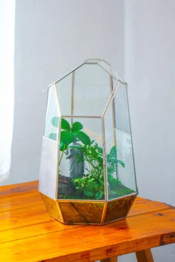 16.1" Large Irregular Geometric Glass Terrarium, Close, Vented Silver, For Tropical Plants, And Large Insects -Ncyp Garden Sale Shop IMG 1854 2 bed8045a ea35 46af 8fc9 b30de41b9a1b