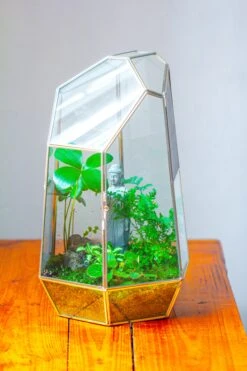 16.1" Large Irregular Geometric Glass Terrarium, Close, Vented Silver, For Tropical Plants, And Large Insects -Ncyp Garden Sale Shop IMG 1862