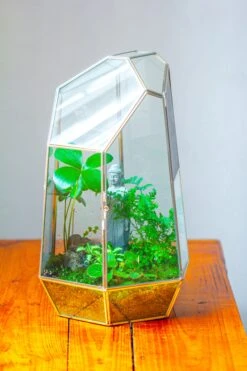 16.1" Large Irregular Geometric Glass Terrarium, Close, Vented Silver, For Tropical Plants, And Large Insects -Ncyp Garden Sale Shop IMG 1862 2 91853160 ead4 4abc 8173 ee927efc5a95