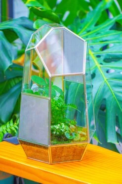 16.1" Large Irregular Geometric Glass Terrarium, Close, Vented Silver, For Tropical Plants, And Large Insects -Ncyp Garden Sale Shop IMG 1872 893155ee 0e24 48c6 a579 2d331458856b