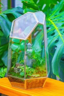 16.1" Large Irregular Geometric Glass Terrarium, Close, Vented Silver, For Tropical Plants, And Large Insects -Ncyp Garden Sale Shop IMG 1873 d7f03571 be9c 486e 95a6 885abb6fb3ca