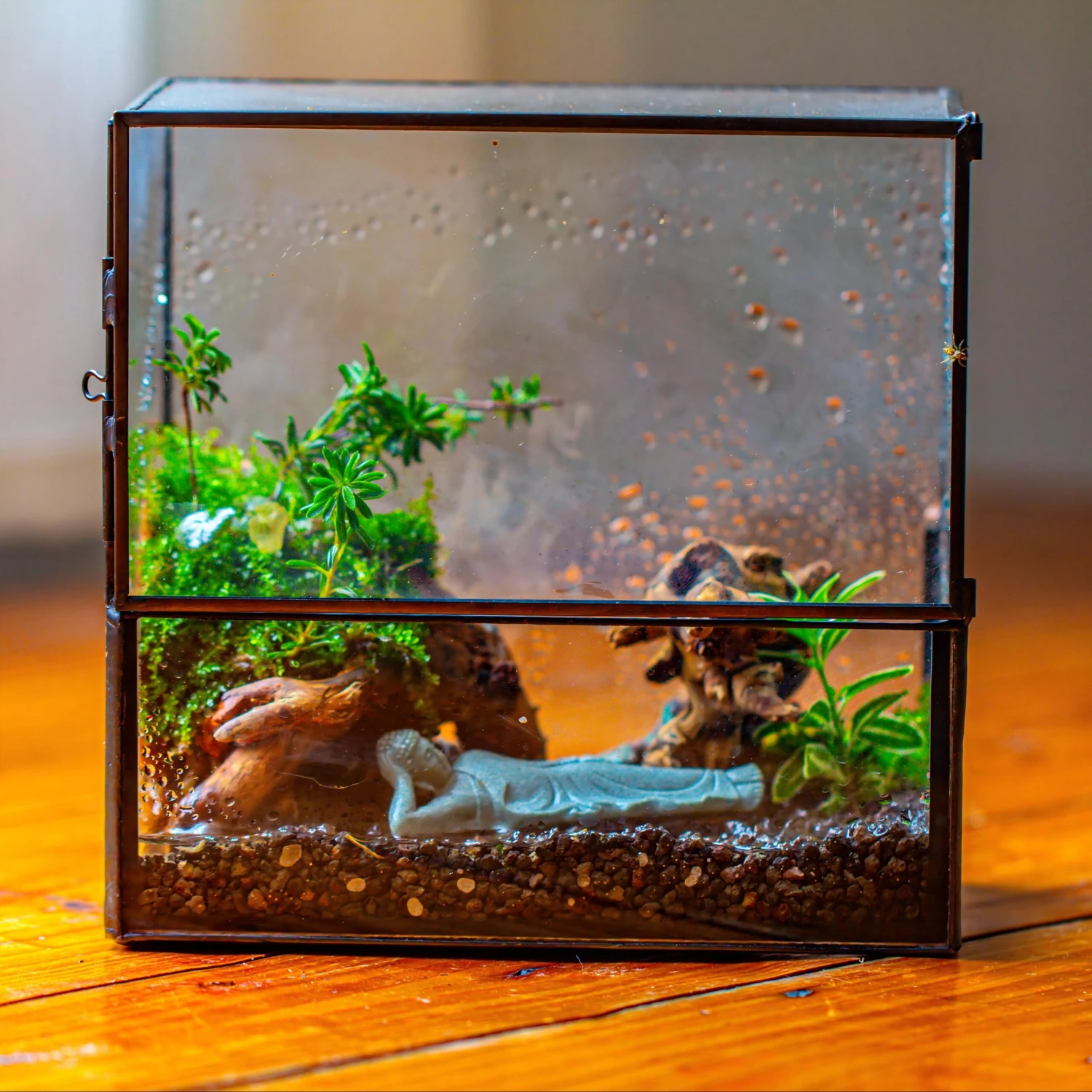 Handmade 7x7 Inches Watertight Glass Terrarium With Door, For Moss 1 Handmade 7x7 Inches Watertight Glass Terrarium With Door, For Moss