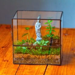 7x7 Inches Glass Terrarium With Side Door, For Moss