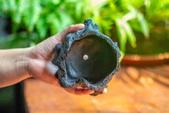 Small Black Tree Stump Like Planter, For Terrarium, Microlandscape -Ncyp Garden Sale Shop IMG 1963