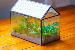 Handmade Close House-shaped Glass Terrarium Enclosure, With Acrylic Mesh Vent, For Jumping Spider, Snail Habitat, Terrarium Only -Ncyp Garden Sale Shop IMG 2025