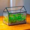 Handmade Close House-shaped Glass Terrarium Enclosure, With Acrylic Mesh Vent, For Jumping Spider, Snail Habitat, Terrarium Only