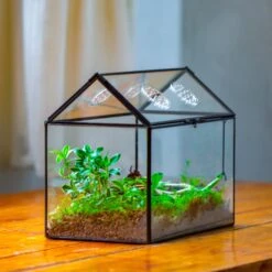 NCYP Handmade Geometric Glass Close Terrarium Box House Shape, Swing Lid Latch For Air Plants Moss Snail Reptile Habitat Vivarium