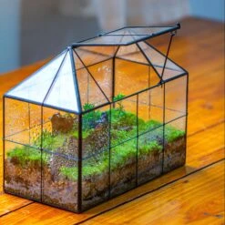 NCYP Glass Geometric Terrarium Tin-Sealed Brass Black House Shape Container With Grid And Swing Lid -Ncyp Garden Sale Shop IMG 2053 1