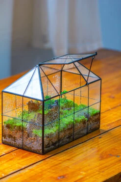 NCYP Glass Geometric Terrarium Tin-Sealed Brass Black House Shape Container With Grid And Swing Lid -Ncyp Garden Sale Shop IMG 2053 17802513 28e4 42e8 89c1 df5d2962a863