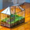 NCYP Glass Geometric Terrarium Tin-Sealed Brass Black House Shape Container With Grid And Swing Lid