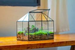 NCYP Glass Geometric Terrarium Tin-Sealed Brass Black House Shape Container With Grid And Swing Lid -Ncyp Garden Sale Shop IMG 2054 183ea883 c334 498c bcbf 63a1b204af05