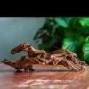 Natural Driftwood For Moss Terrarium, Miniature, Micro Landscape, Unique 12-65, Suitable For Both Live And Preserved Moss