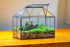 NCYP Glass Geometric Terrarium Tin-Sealed Brass Black House Shape Container With Grid And Swing Lid -Ncyp Garden Sale Shop IMG 2057 5fb52cac 35ff 47b2 affa a5e5bd53e73b