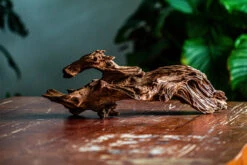 Natural Driftwood For Moss Terrarium, Miniature, Micro Landscape, Unique 12-64, Suitable For Both Live And Preserved Moss -Ncyp Garden Sale Shop IMG 2059