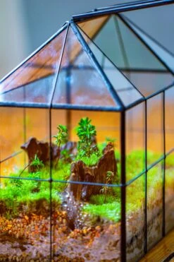 NCYP Glass Geometric Terrarium Tin-Sealed Brass Black House Shape Container With Grid And Swing Lid -Ncyp Garden Sale Shop IMG 2067 d94275d6 4592 4145 93e5 0d46d78b5552