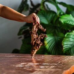 Natural Driftwood For Moss Terrarium, Miniature, Micro Landscape, Unique 12-57, Suitable For Both Live And Preserved Moss